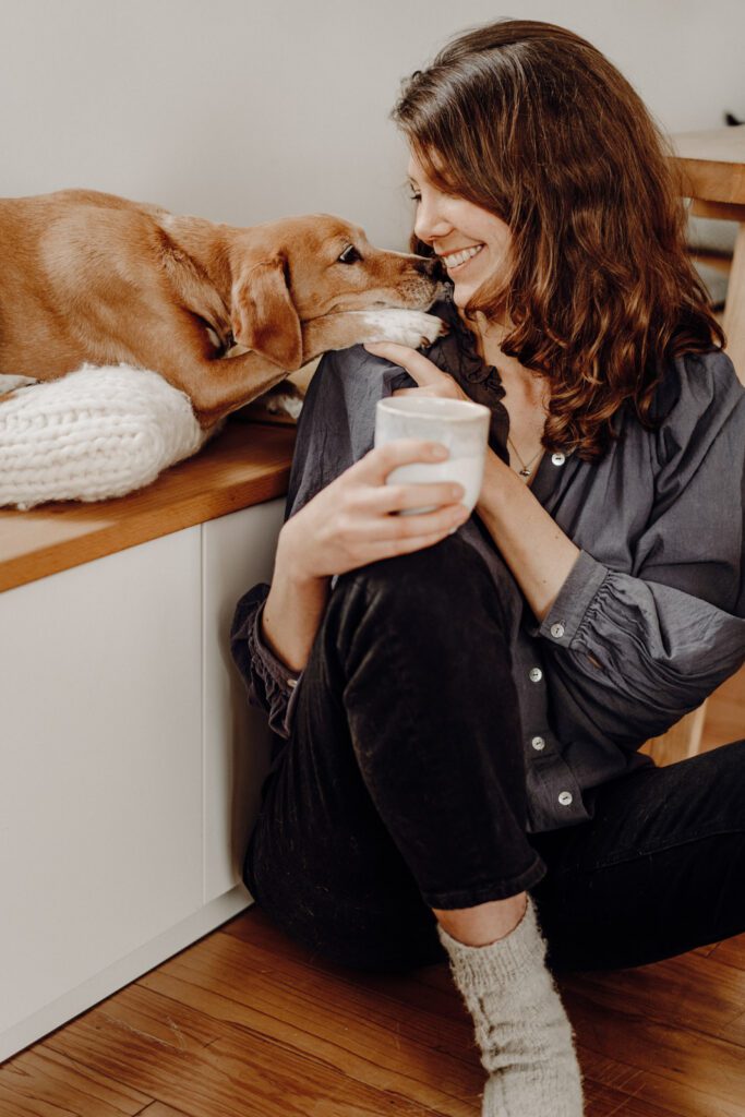 Indoor Hundefotografie Hundefotostudio Mischling Rheinland-Pfalz