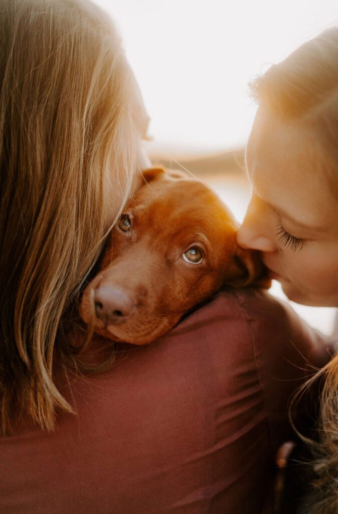 emotionale Mensch und Hundefotografie süßer Hundewelpe Deutschland