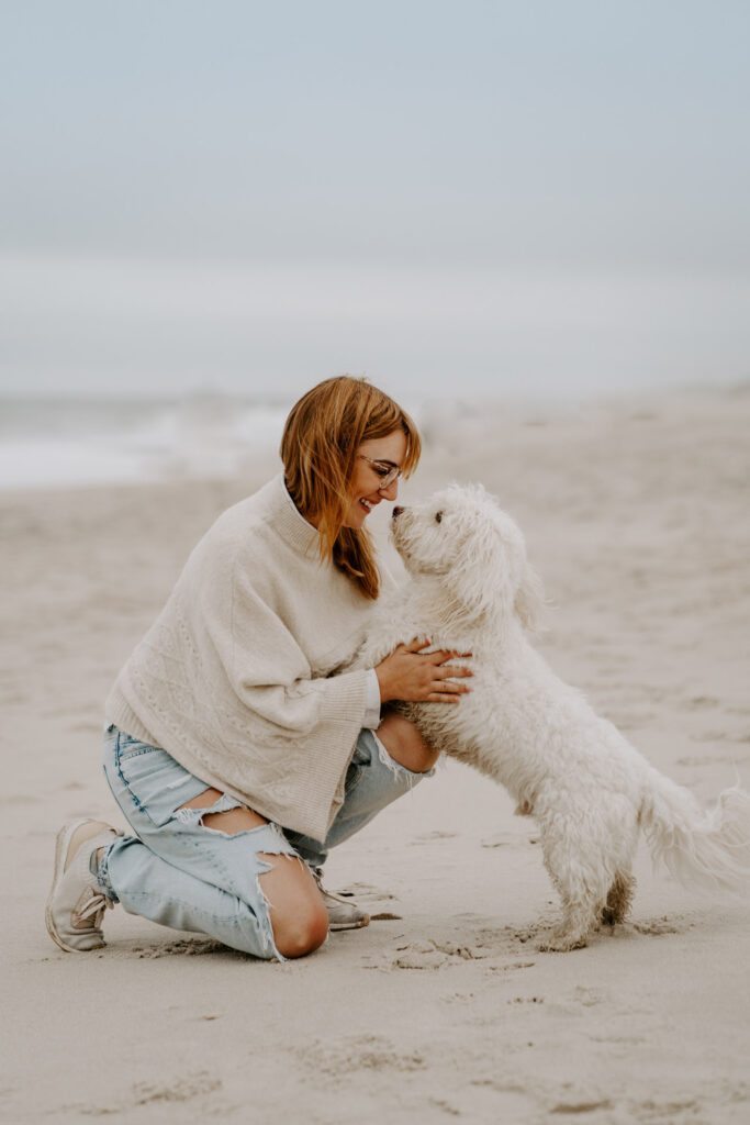Hund springt fröhlich am Sylter Strand, das Meer im Hintergrund, eine starke Fellfreundschaft in jedem Moment.