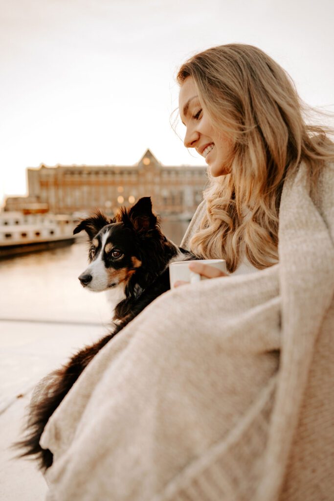Pefluencer Hundefotoshoot Mini Australian Shepherd Amsterdam