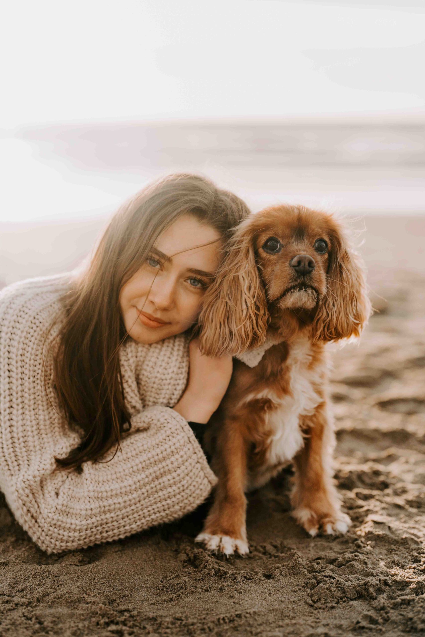 Hund und Mensch Portrait in Zandvoort