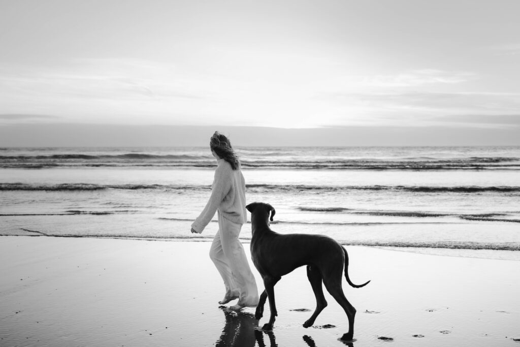 Fellfreundschaft in Holland: Ein emotionaler Moment zwischen Hund und Besitzer am Strand.