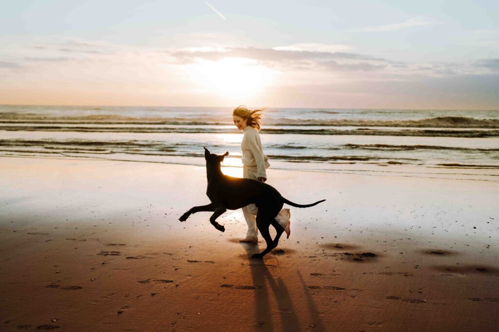 Hundefotografie am Meer in Holland: Hund springt über die Wellen und genießt die Freiheit