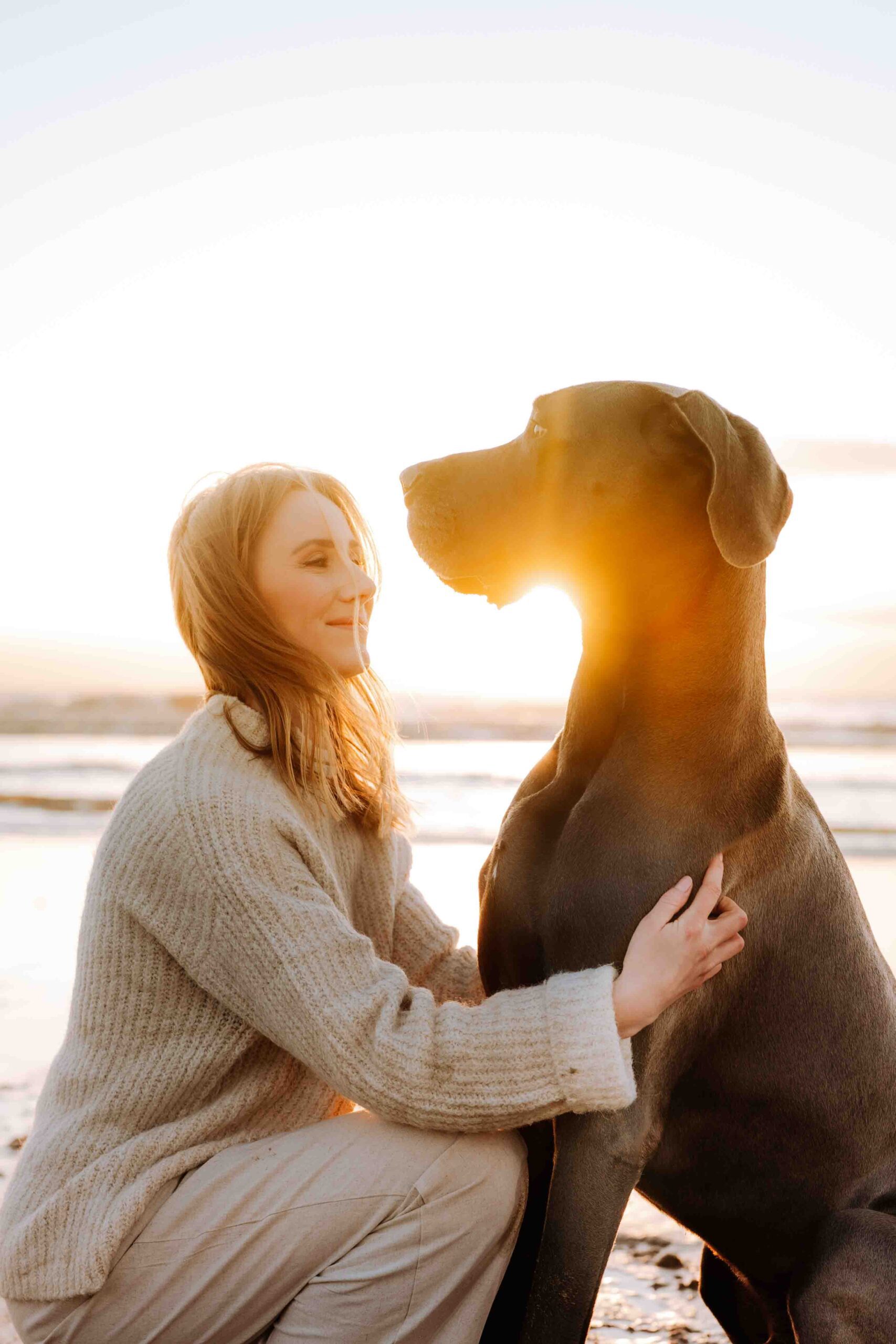 Hundefotografie bei Sonnenuntergang in Holland: Ein Hund und sein Besitzer genießen den ruhigen Abendblick auf den Strand.