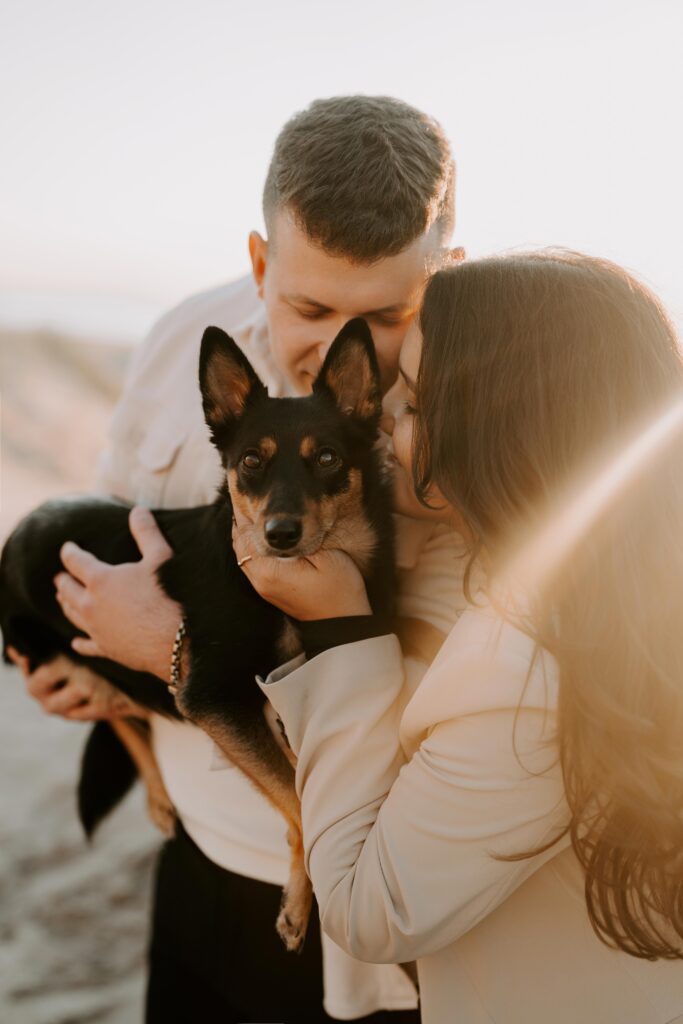 Stimmungsvolle Hundefotografie am Strand von Holland – Hund posiert im goldenen Licht des Sonnenuntergangs